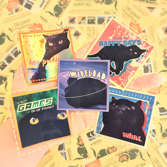 Anchovy Black Cat Sticker Set - Series 1