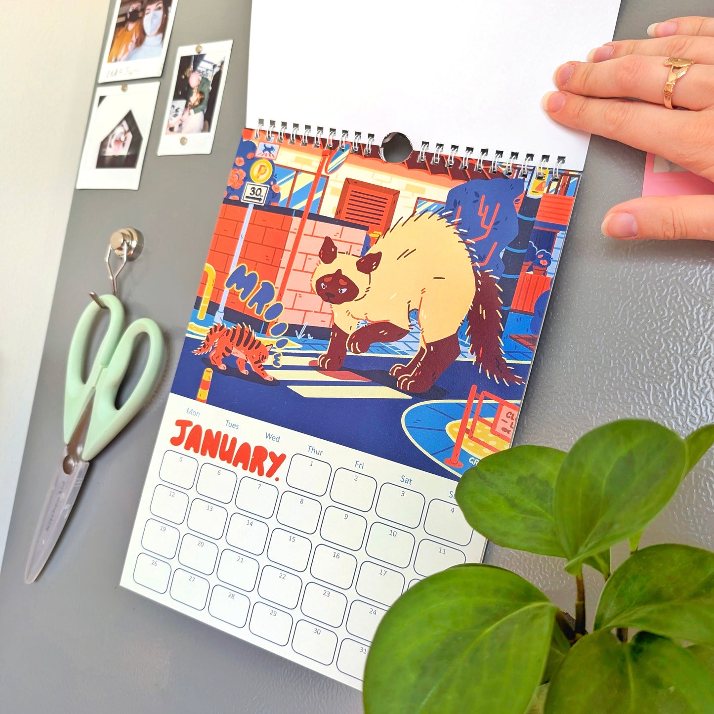 Big Cats 2026 Calendar
