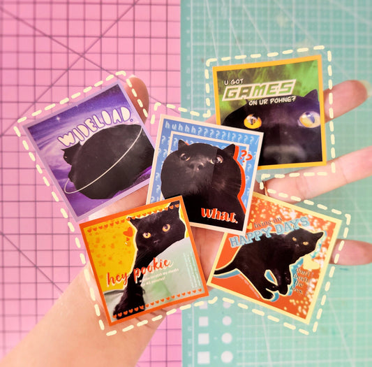 Anchovy Black Cat Glossy Paper Sticker Set